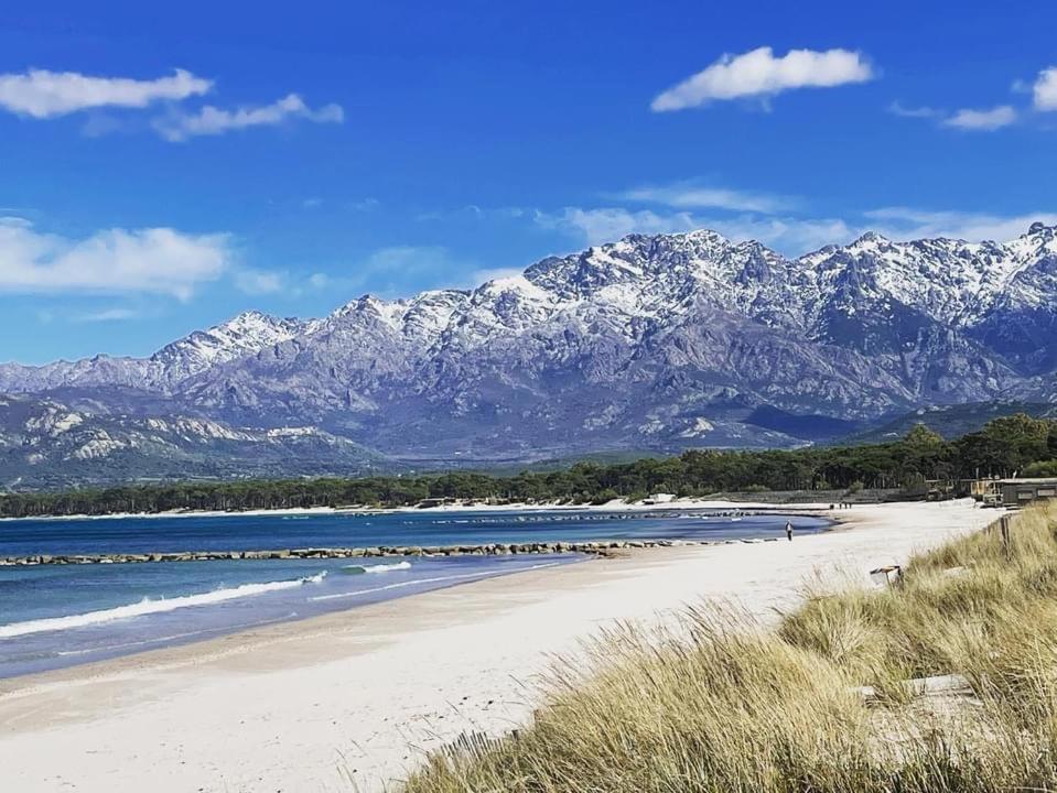 Entre Mer&Montagne Suite Calvi 칼렌자나 외부 사진